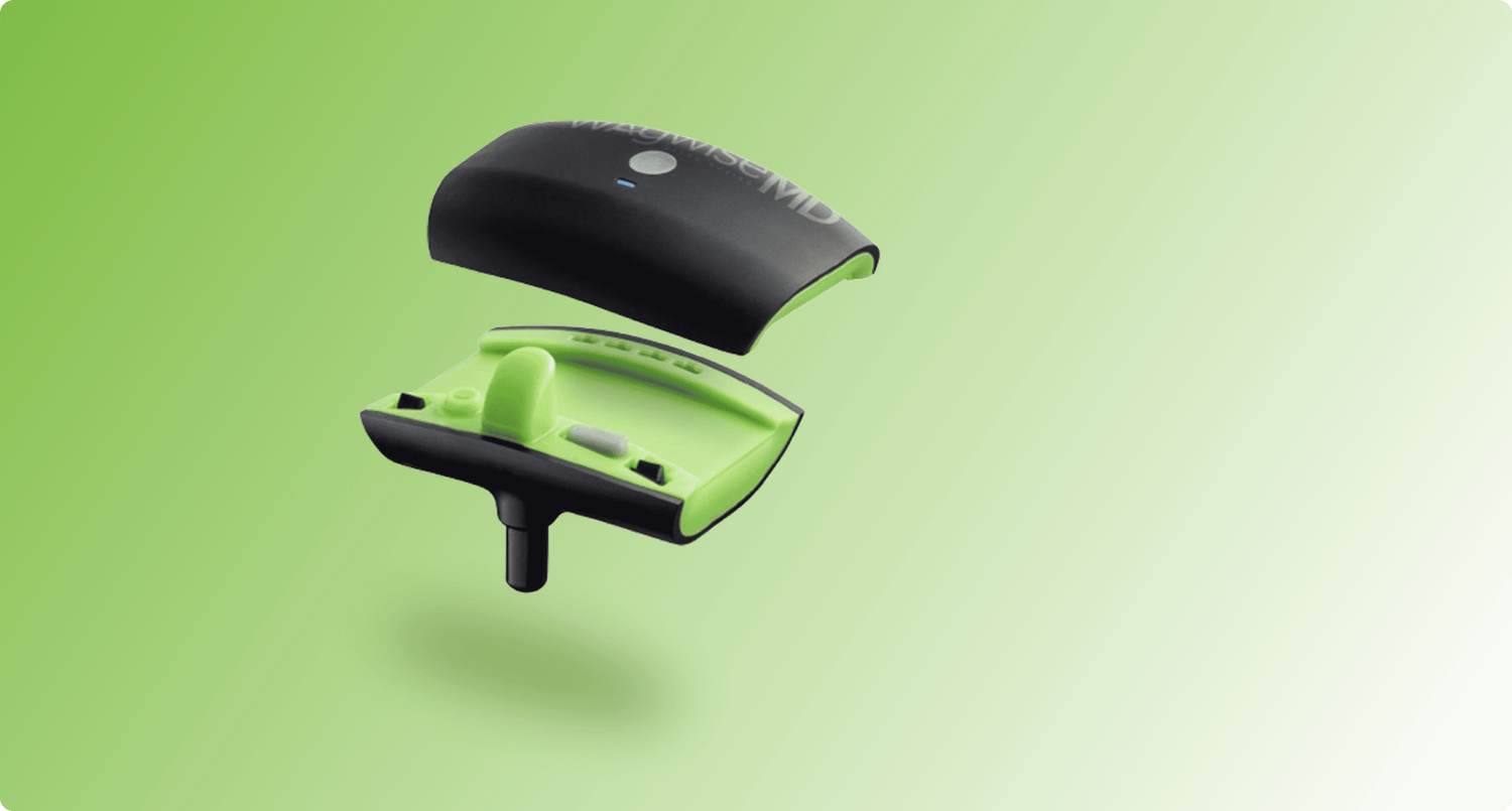 Influence of green lipped mussels (Perna canaliculus) in alleviating signs of arthritis in dogs.